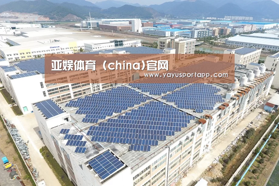 案例展示一