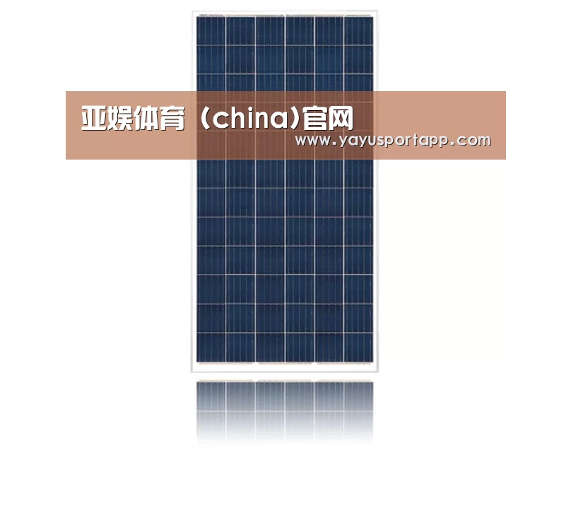 产品名称一