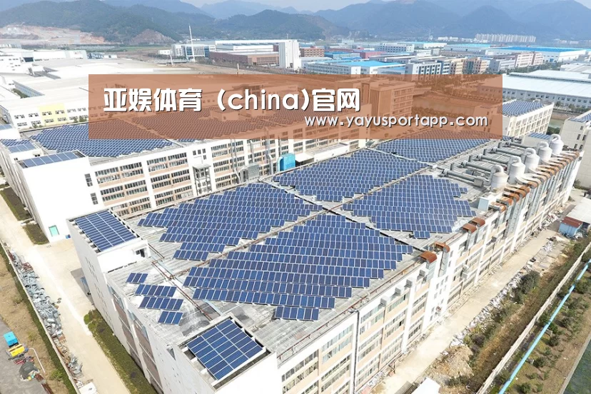 案例展示二