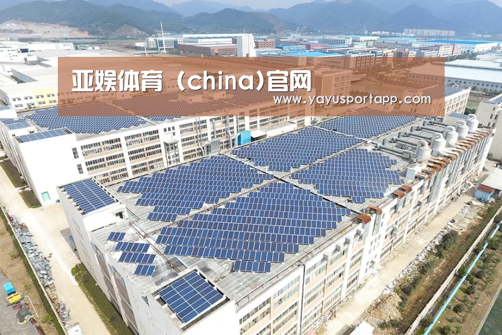 案例展示四