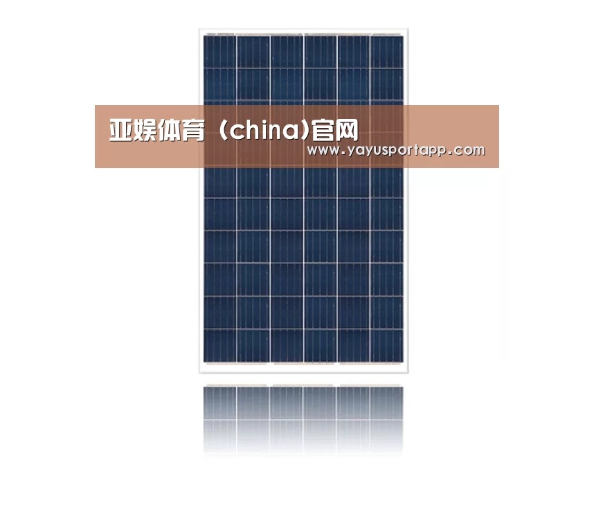 产品名称四