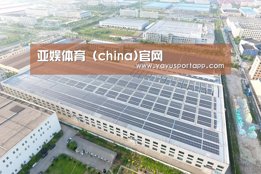 案例展示三