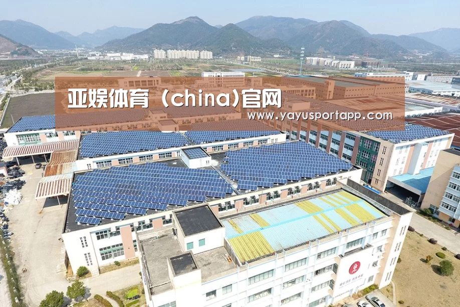 案例展示三