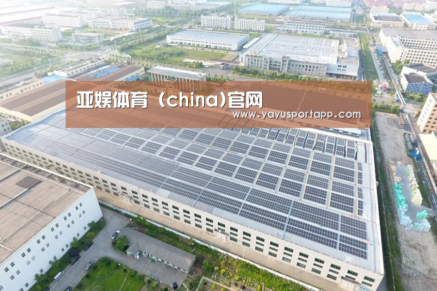 案例展示四