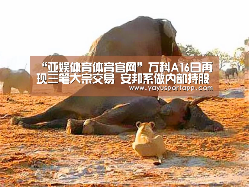 “亚娱体育体育官网”万科A16日再现三笔大宗交易 安邦系做内部持股调整(图2) 亚娱体育体育