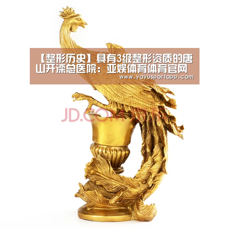 亚娱体育