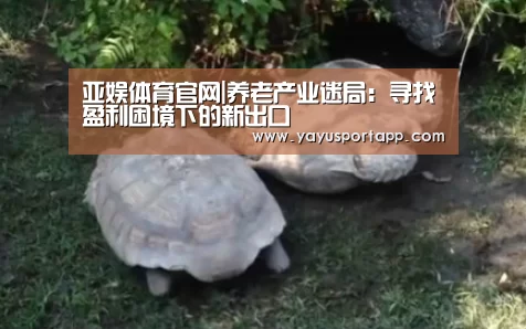 亚娱体育