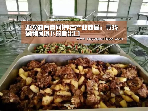 亚娱体育体育